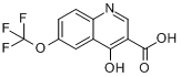 4-羥基-6-（三氟甲氧基）喹啉-3-羧酸