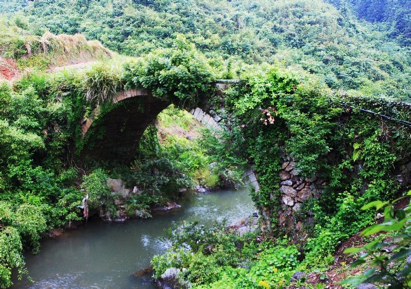 浦城縣(中國丹桂之鄉)