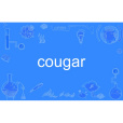 cougar