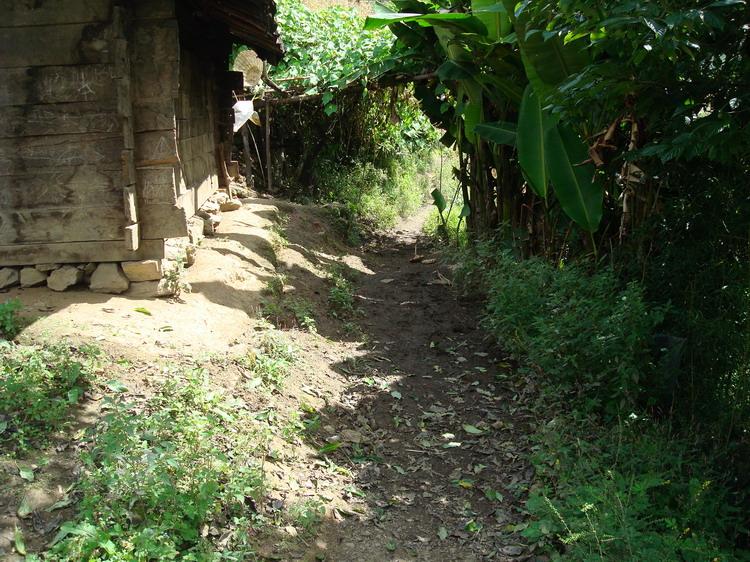 你代村人口衛生－村內道路