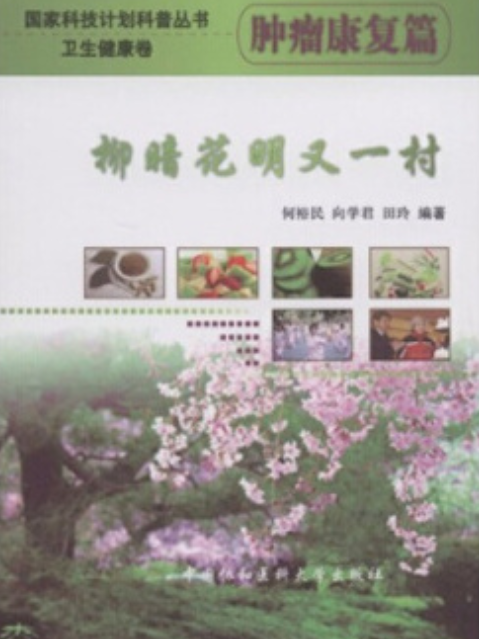 柳暗花明又一村(2008年中國協和醫科大學出版社出版的圖書)