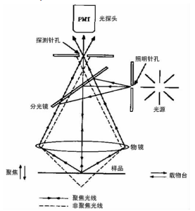 雷射掃描共聚焦顯微鏡(雷射掃描共[聚]焦顯微鏡)