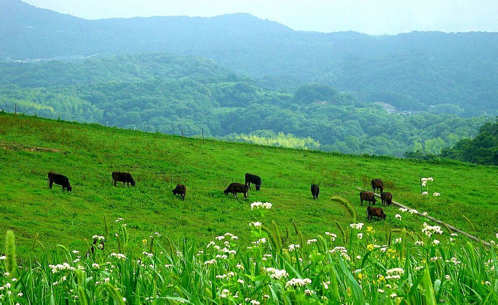 大灘鎮北梁村