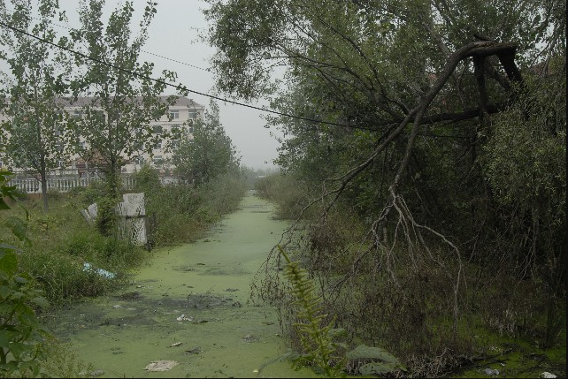 泗水故道