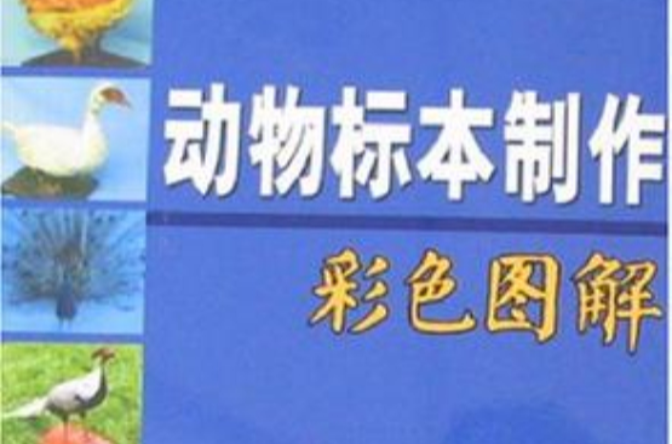 動物標本製作彩色圖解