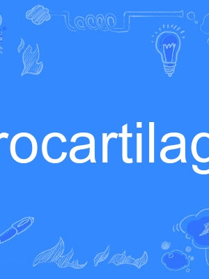 fibrocartilage