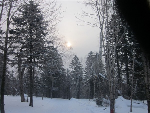 冬天的飄雪是一種等待