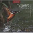 飛羽瞬間：中國野生鳥類精彩圖片選(飛羽瞬間)