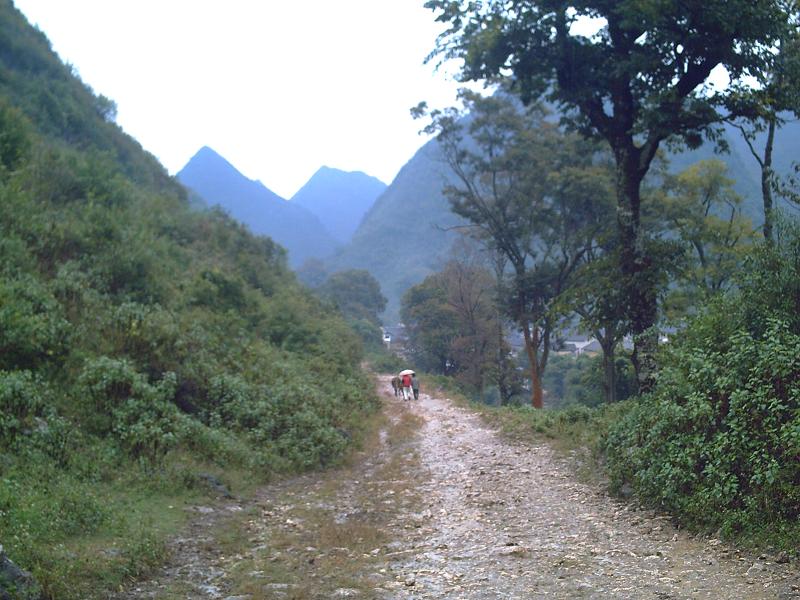 進村道路