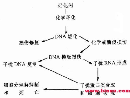 芥子氣中毒