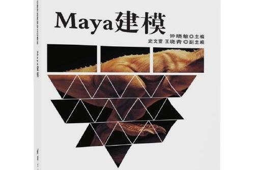 maya建模(2017年清華大學出版社出版的圖書)