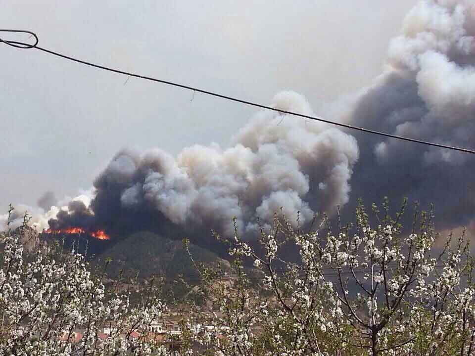 4·5青島嶗山大火事件