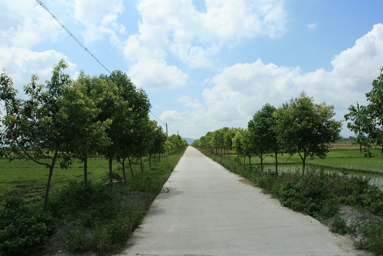 陽光村(福建省惠安縣東園鎮下轄村)