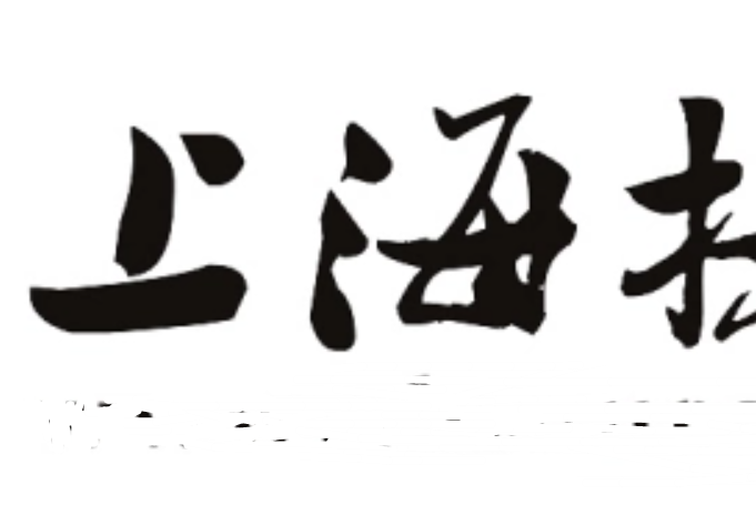 上海投融信息科技服務有限公司