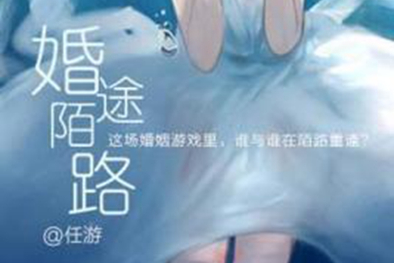 婚途陌路(任游所著小說)