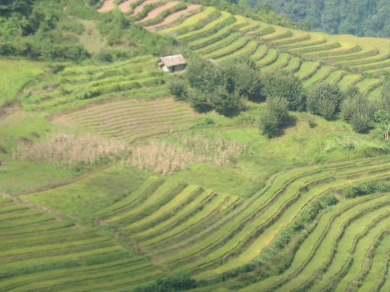 田園耕地