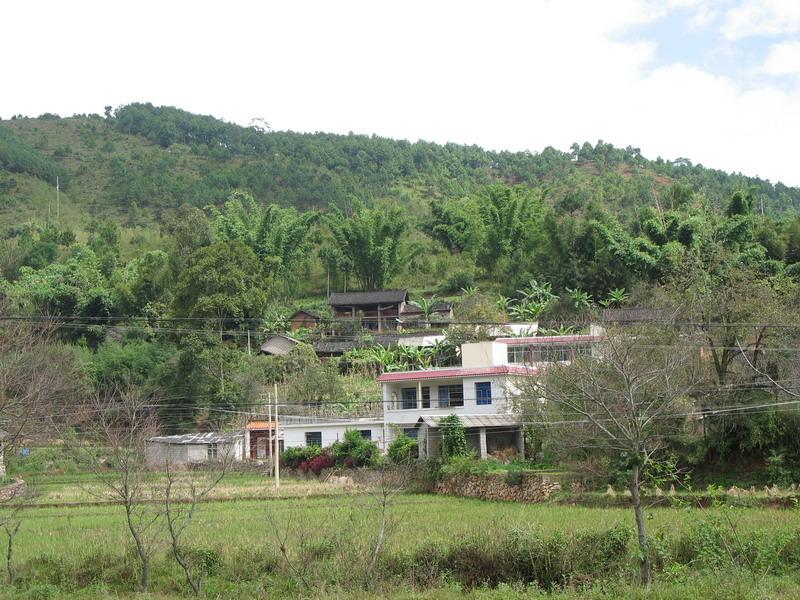 河尾自然村(雲南省永德縣小勐統鎮下轄村)