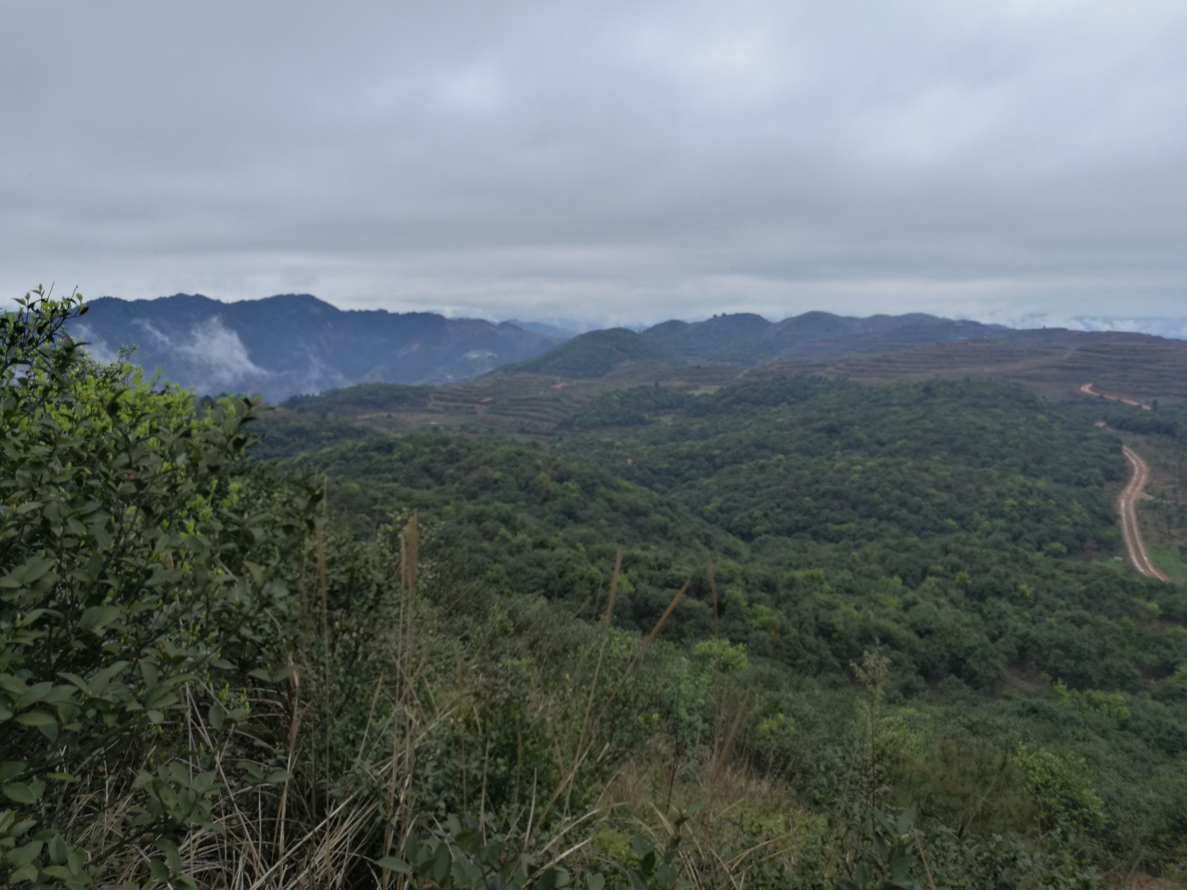 雲照村