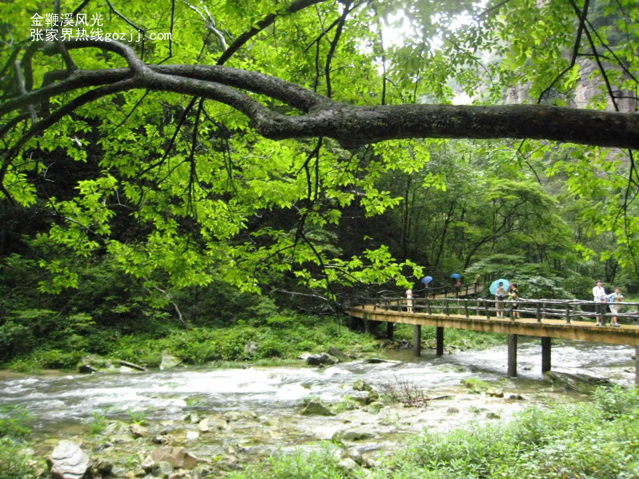 張家界山上住宿網