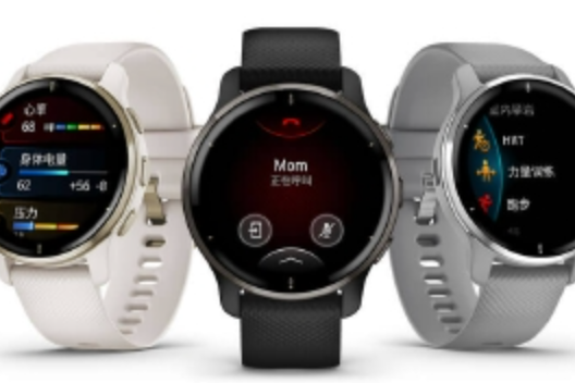 Garmin Venu 2 Plus