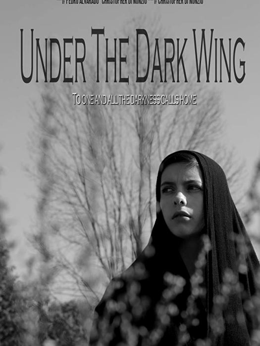 Under the Dark Wing