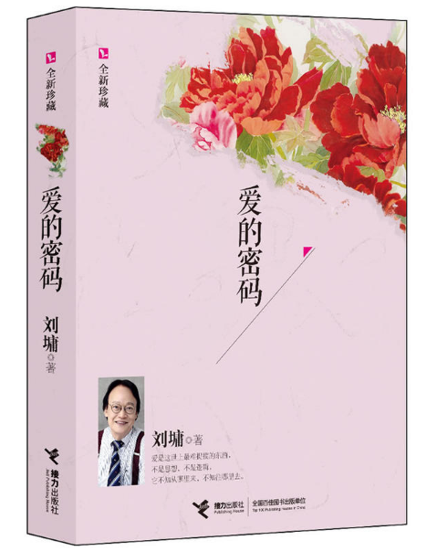 愛的密碼(2013年接力出版社出版圖書)