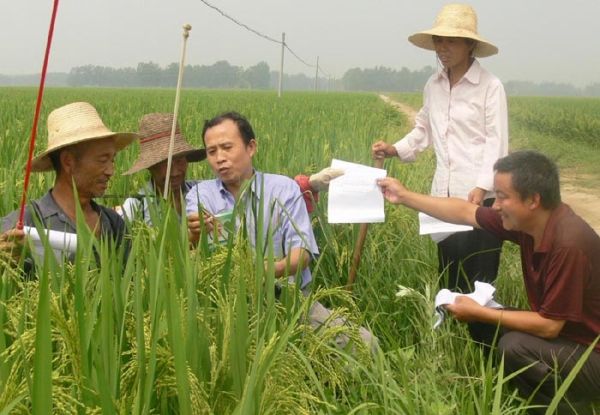 淅河鎮農民除草