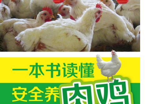 一本書讀懂安全養肉雞