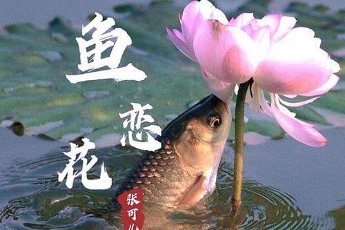 魚戀花