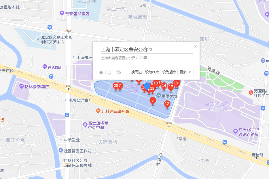 曹安公路2300弄263號