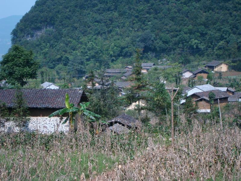 四門村(雲南文山縣柳井彝族鄉下轄村)