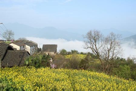 木落村