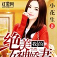 我的絕美女神嬌妻(小花生著網路小說)