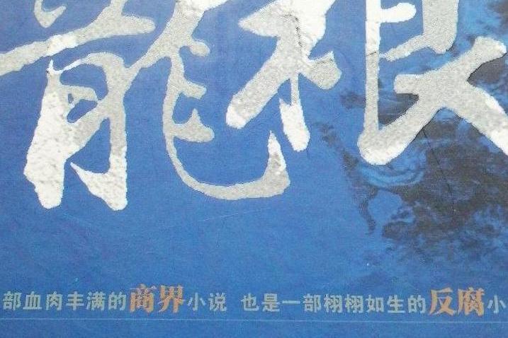 龍根(2008年太白文藝出版社出版的圖書)