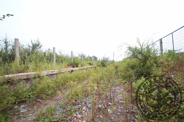 松北站荒廢的站台和路基