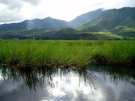 北海濕地