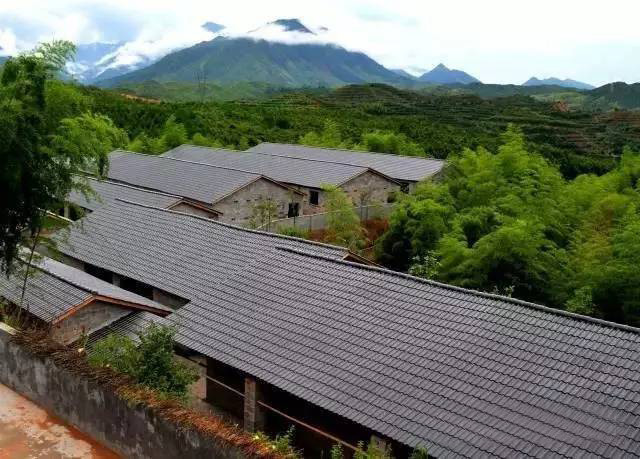 龍泉市康達生態養殖場