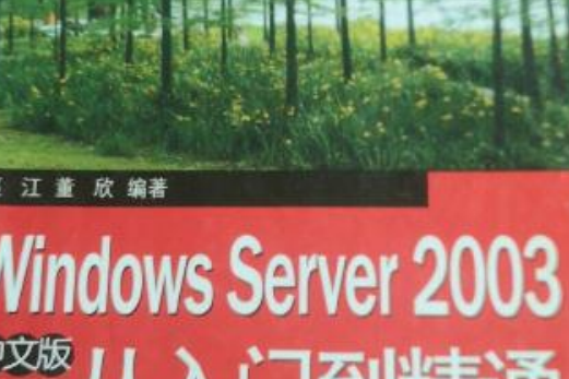 Windows Server 2003中文版從入門到精通