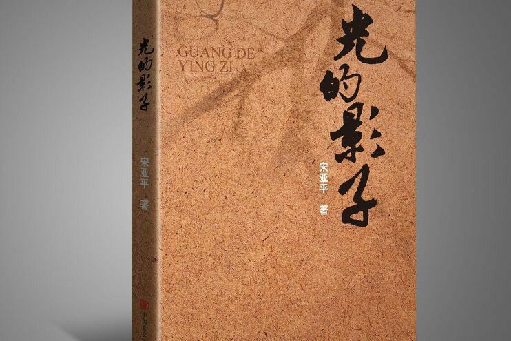 光的影子(甘肅靈台宋亞平創作的小說)