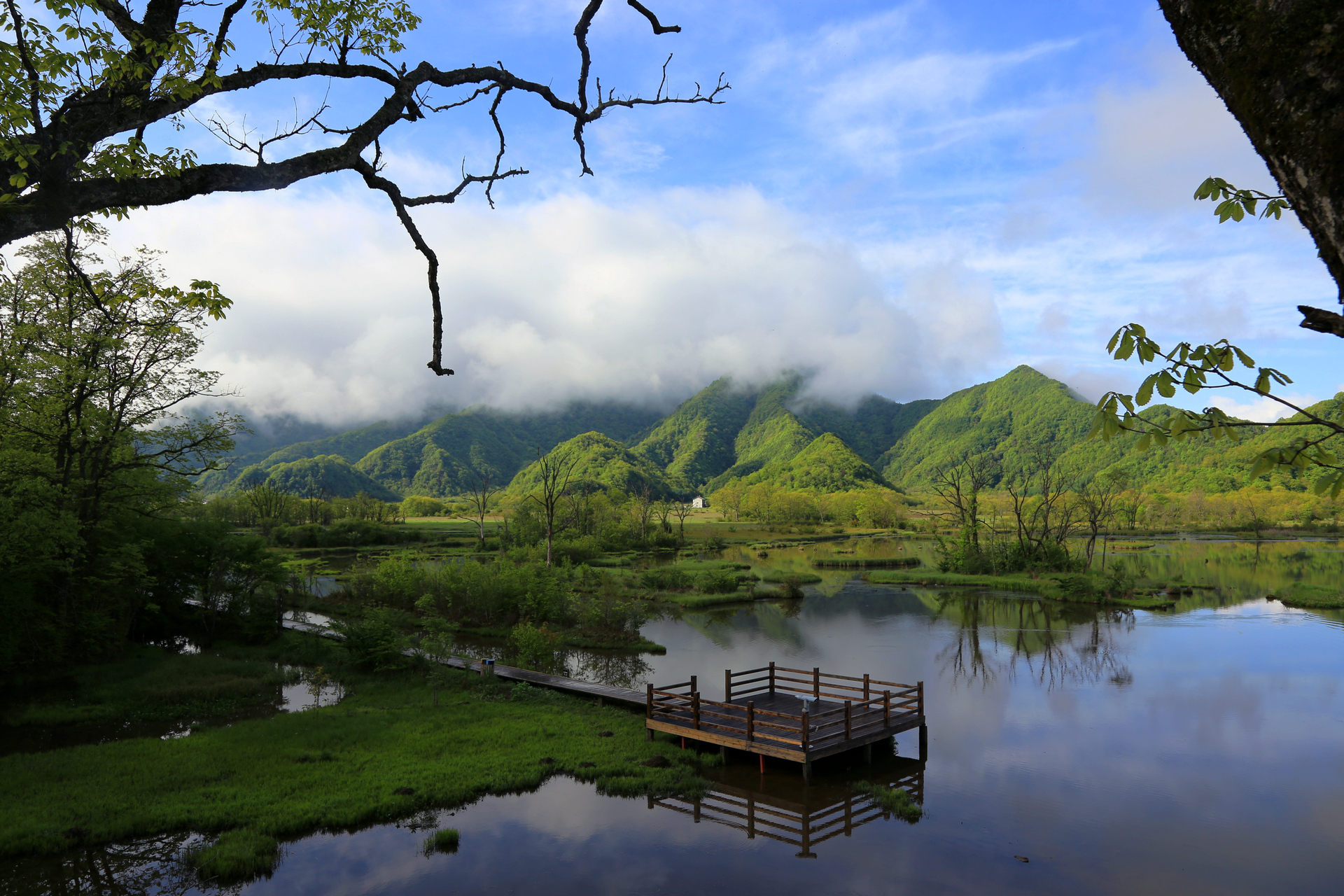 湖北神農架九大湖國家濕地公園