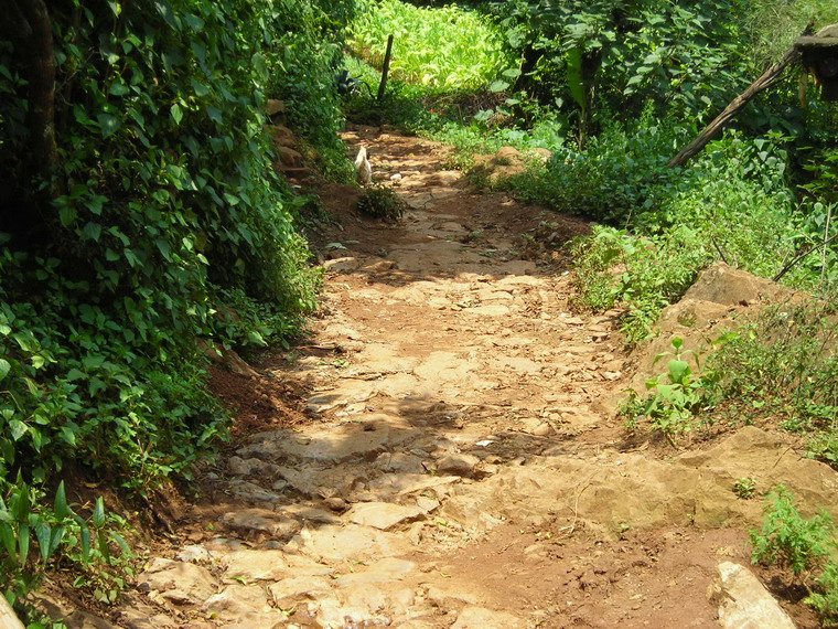 白祖克村道路