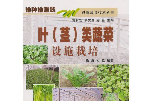 葉（莖）類蔬菜設施栽培