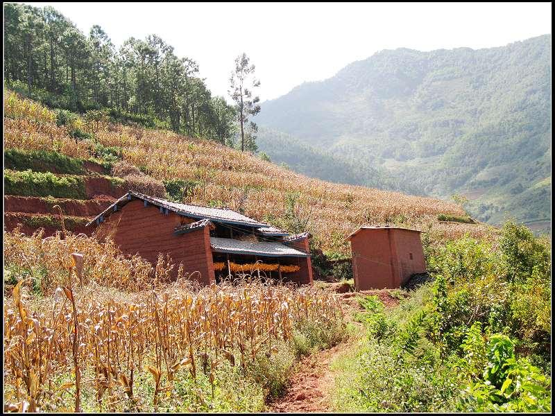 樹密小水井村