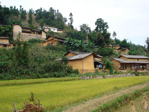 茶棵腳自然村