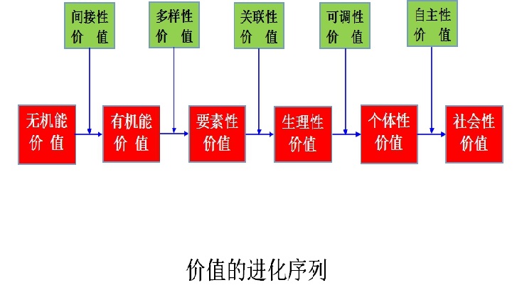 價值進化序列