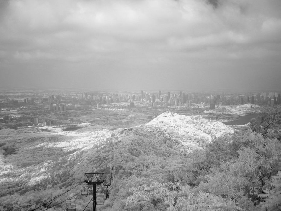 雪原城