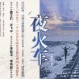 夜火車(2009年花城出版社出版的圖書)