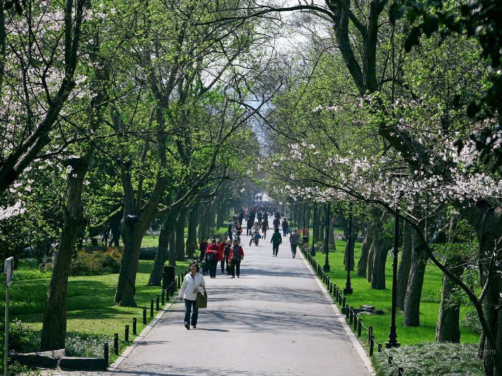 蘇堤(徐州蘇堤)