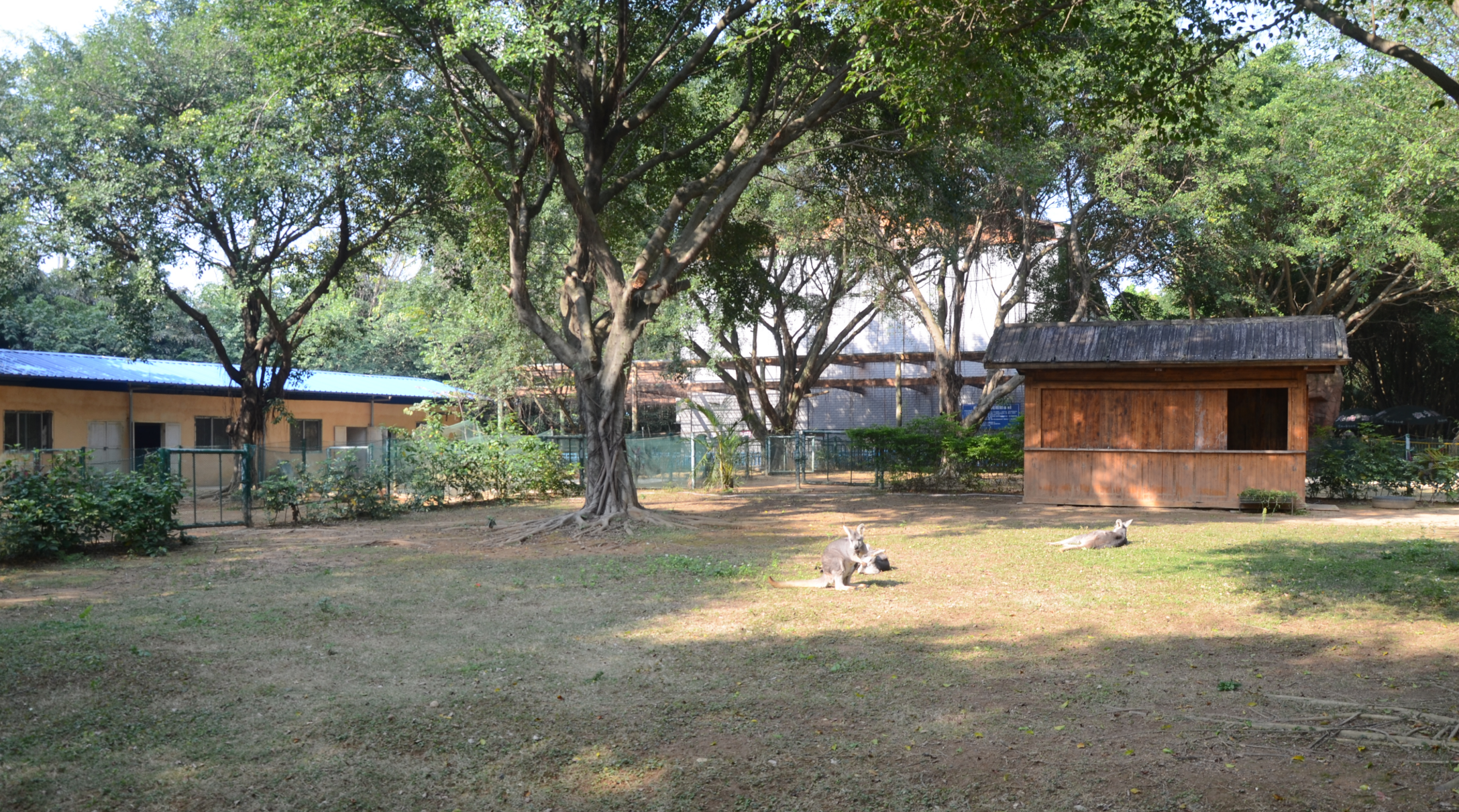 南寧動物園(南寧市動物園)