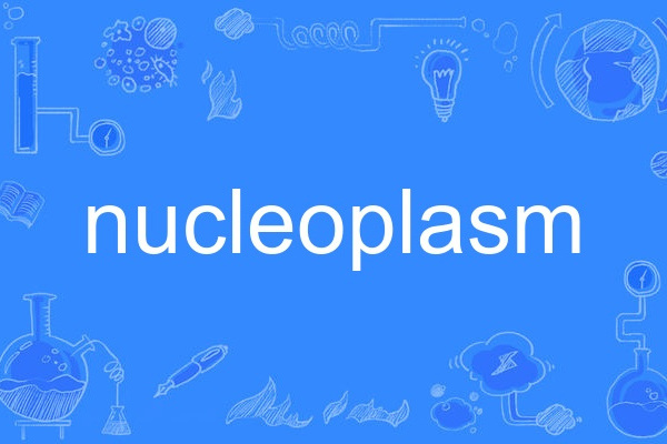 nucleoplasm